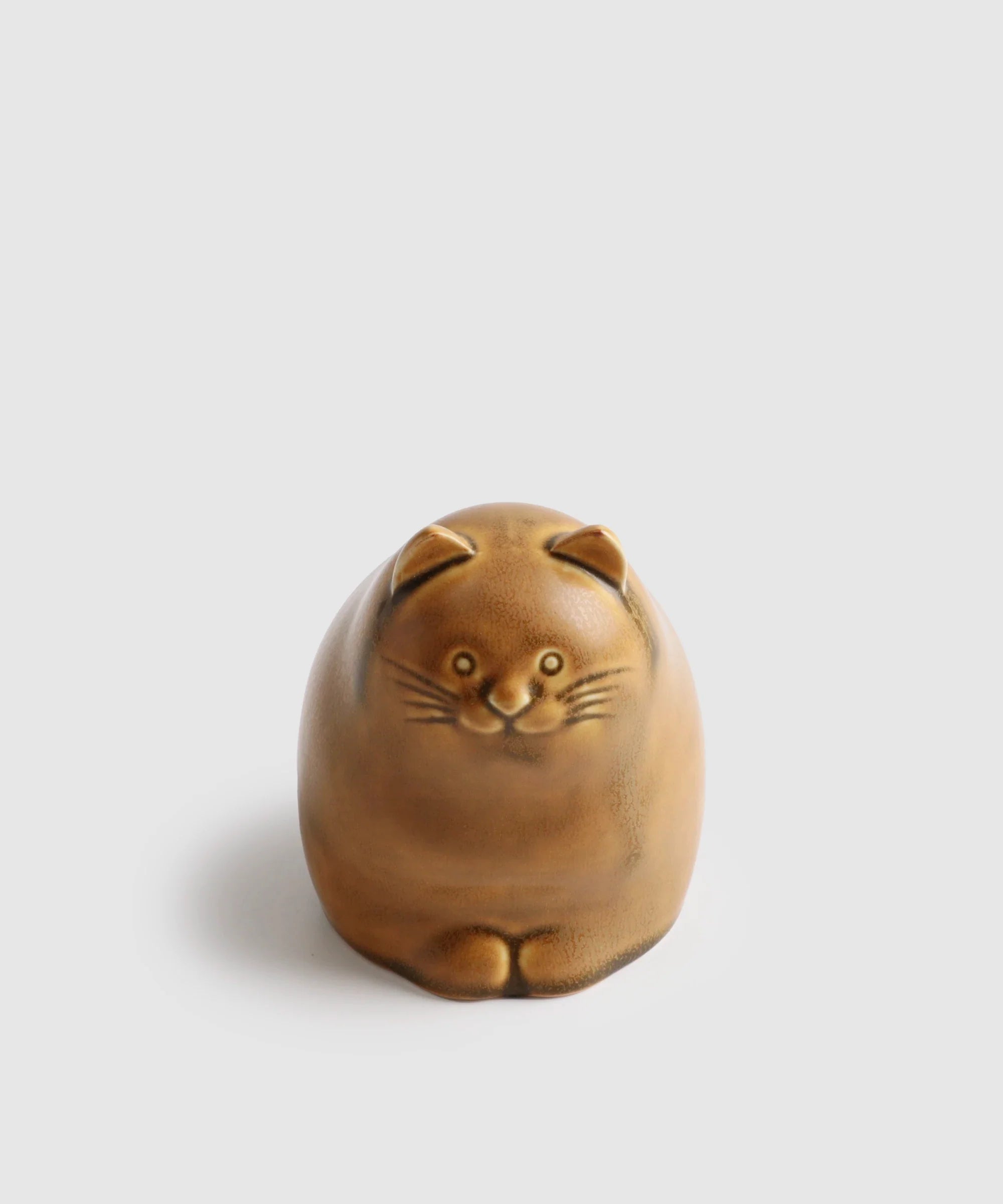 peto-cat yellow