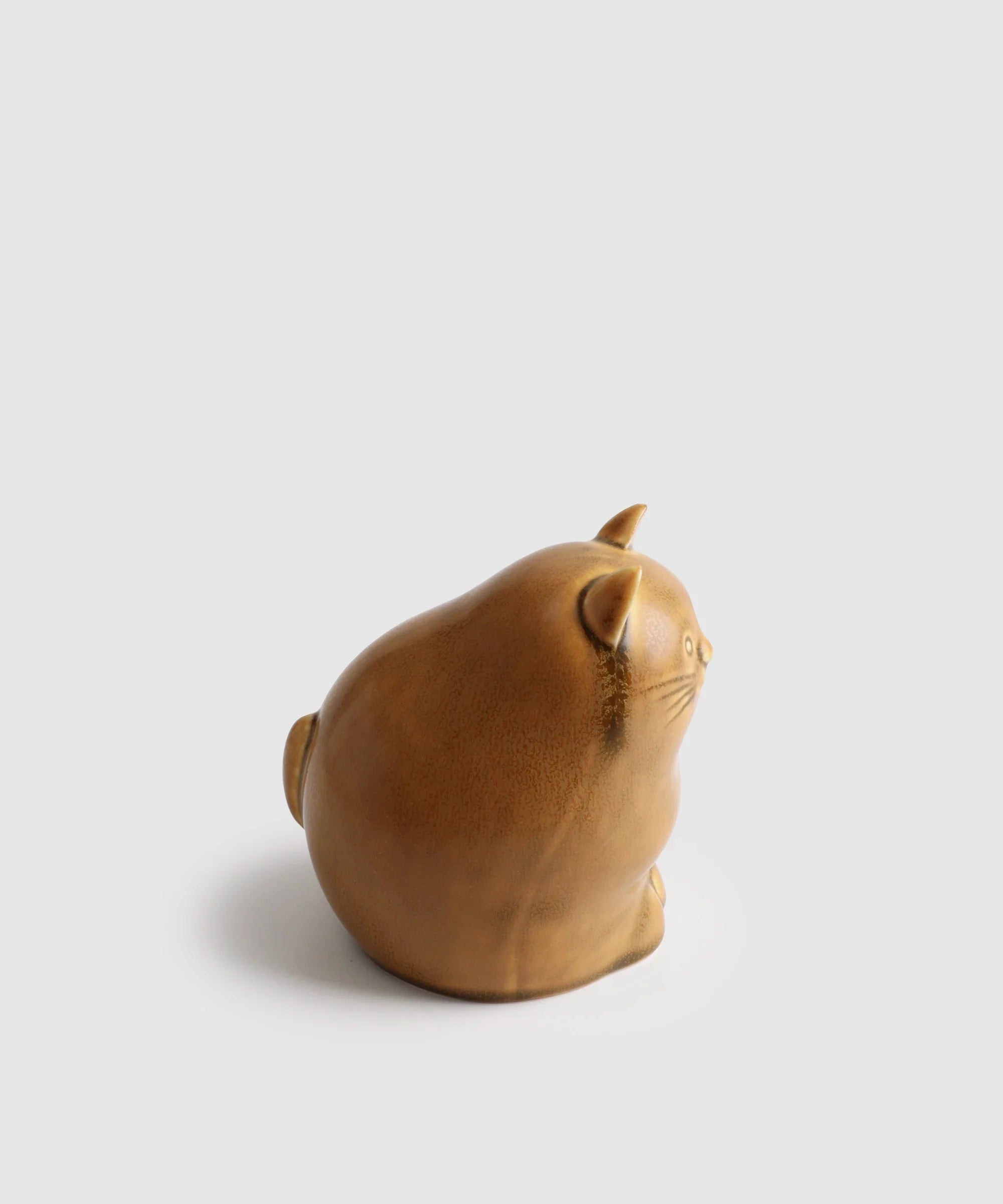 peto-cat yellow